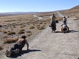 71 Pilgrims Nearing The End Of Their Prostration Mount Kailash Outer Kora On The Final Stretch To Darchen